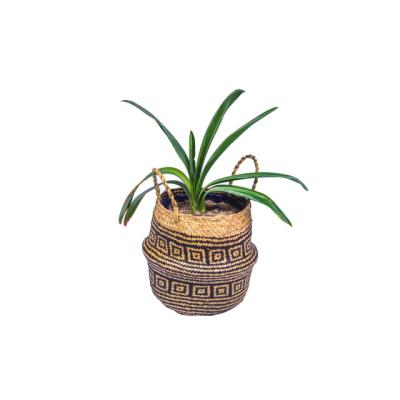 China Traditional hot sale vegetable plankton basket with lid cesta de frutas large fruit vegetable plankton basket belly woven storage basket plant pot for sale