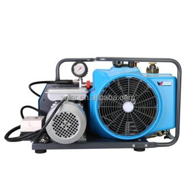 China 3kw 20MPA WJIER BRAND small lubricated high pressure air compressor WDV100A with 100L for sale