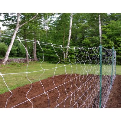 China Agricultural Mesh Garden Netting Trellis Net for plants Plastic PP 100% Polypropylene trellis net for sale