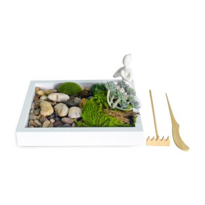 China Desktop Artificial Succulent Planter Tray For Home Decor Europe Zen Garden Stone Haystack Accessories DIY for sale