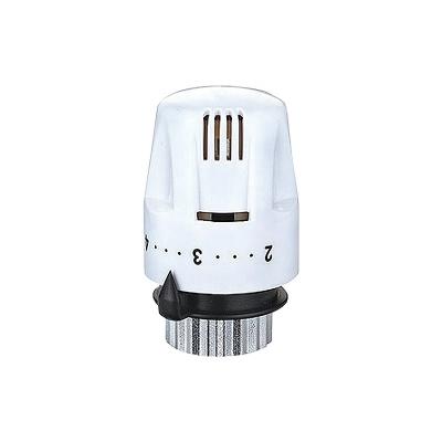 China Modern Auto Plastic Thermostatic Head For Radiator Use for sale