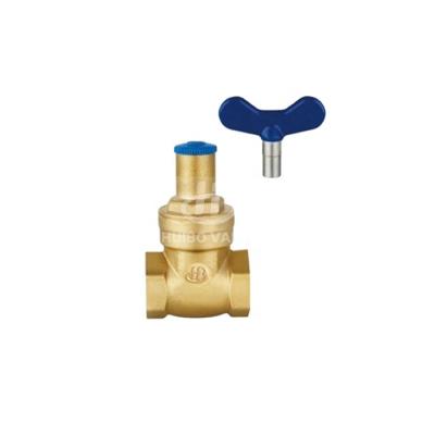 China General Lockable Brass Gate Valve 1/2