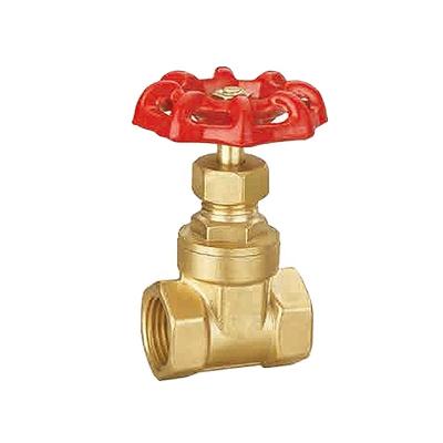 China Brass Gate Valve 1/2