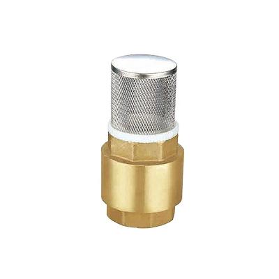 China Industrial and Household Brass Spring Check Valve With Stainless Steel Filter for sale