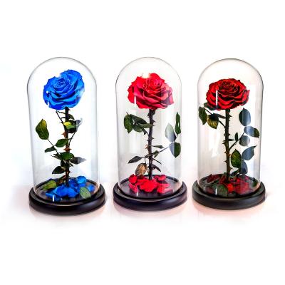 China New Gifts Products Ideas 2022 Preserved Fresh Rose Gifts Box Natural Decorative Flowers Stabilized Immortal Roses In Glass Dome Decor for sale