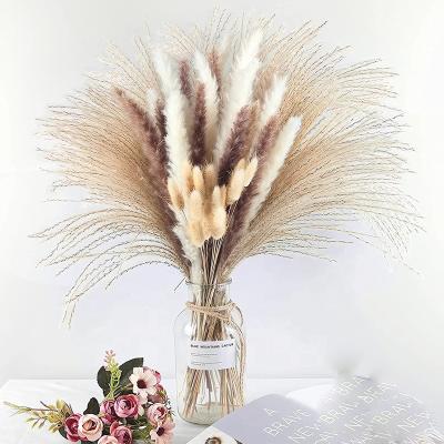 China 2021 Natural Fresh DIY Pampas Reed in 17 Inch Flower Arrangement Decorative Flower Decoration Dried Pampas Grass for Home Decoration for sale