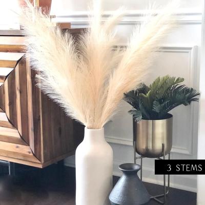 China Customized 17inch Fake Pampas Grass Flower Customized Artificial Pampas Grass Flower RuiKaLi Hot Selling Artificial Decorative Flower For Decoration for sale