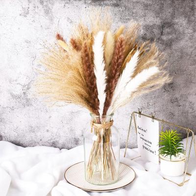 China 60pcs Decorative Amazon Success Flower Customized Natural Pampas Grass Dried Pampas Grass For Home Decoration for sale