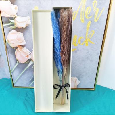 China Valentine Gifts Wish Amazon Hot Sale Natural Plants 15pcs Small Pampas Grass Reed In Delicate Gift Box Valentine's Gifts for sale