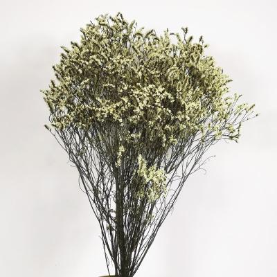 China Real flowers 60~70 cm natural preserved flowers wedding decoration flower real flower eternal crystal grass in 2021 for sale