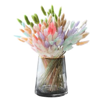 China Marry the & popular party decoration ins flowers bunny tail dry grass for flower arrangement for sale