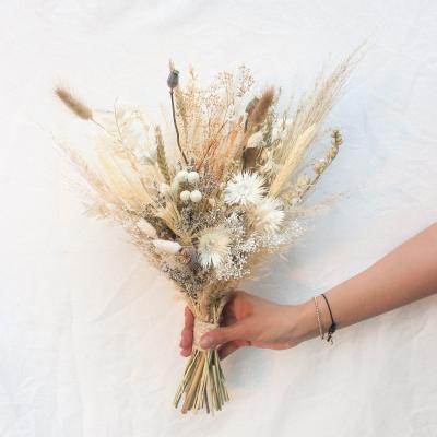 China Decoration Amazon New Hit Ideas Dried Flower Eucalyptus DIY Bridal Bouquet Preserved Natural Pampas Grass For Wedding Bouquet for sale