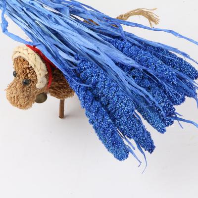 China Crafts 100% Factory Preserved Millet Flower For Bouquet Making And Household Flower Arrangement for sale