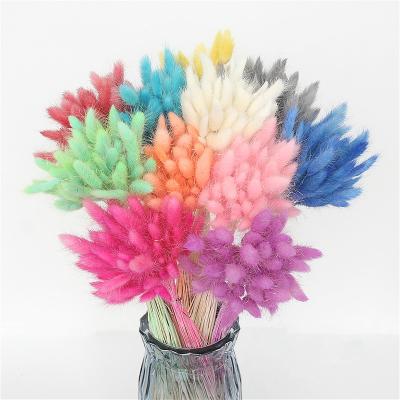 China Decorration Yunnan Factory Supply Flowers Bunny Rabbit Tails Natural Dry Grass Lagurus For Wedding Home Decoration for sale