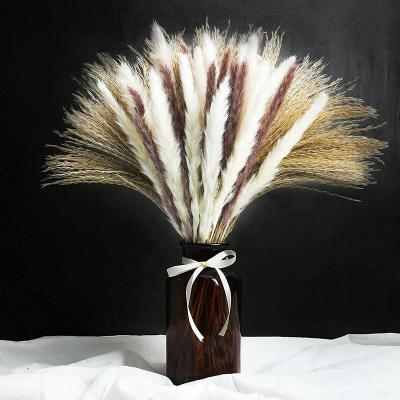 China 2021 15 pcs pampas grass bunch 60 pcs pampas grass natural small dry brown pampas grass for decoration for sale