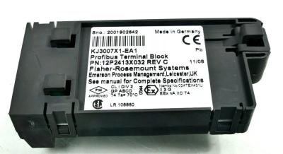 China Emerson KJ3007X1-EA1 Profibus Terminal Block for sale