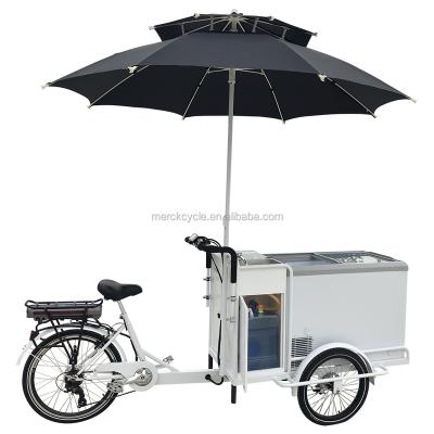 China Zero Cargo Tariff Street Business Three Wheel Ice Selling New Style Freezer Front Loading Quality Electric Ice Bike for sale