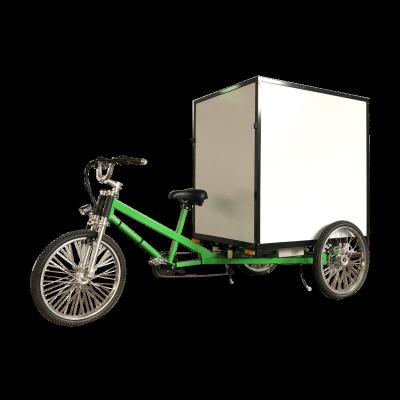 China Cheap Cargo Bakfiets Family Use 3 Wheel Electric Bike Tricycle Adult for sale