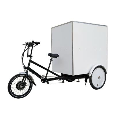 China Passenger No Fare Heavy Duty Cargo Transport MOTRIKE 3 Wheel Pedal Aid 500watt Electric Truck Cargo Tricycle For Sale for sale