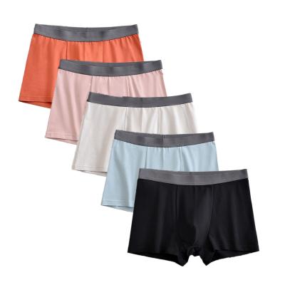 China High Quality Anti-Static Men's Boxer Cotton Men's Underwear And Mini Order Cotton Breathable Pure Shorts Briefs for sale