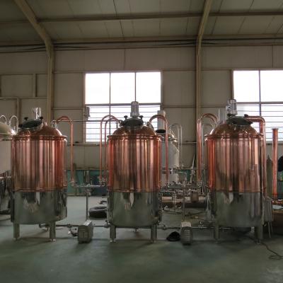 China 300 L small beer manufacture machine made in China for sale