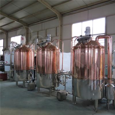 China 300L lager beer brewery equipment for brewpub and restaurant for sale