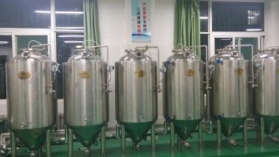 China 300L electric brewing system of craft beer equipment for sale