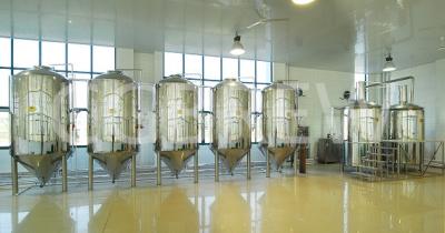 China 200L beer equipment for micro beer production for sale