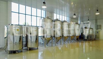 China 200L beer equipment for brewing draft beer equipment for sale