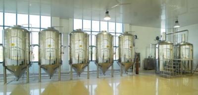 China CG-500L commercial beer brewing equipment for sale for sale