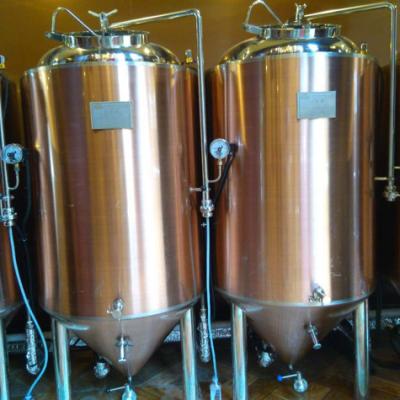 China 500L beer making machine for craft beer brewing in hotel restaurant and brewpub with CE certificate for sale