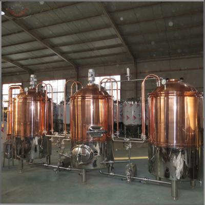 China 300L commercial brewery equipment for sale for pub brewing for sale