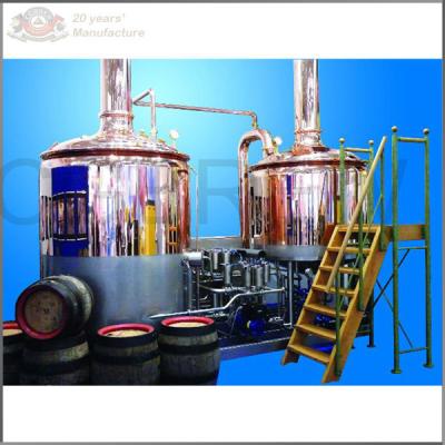 China 500L stainless steel ss304 microbrewery equipment for sale with steam heating mash tun and lauter tun for sale