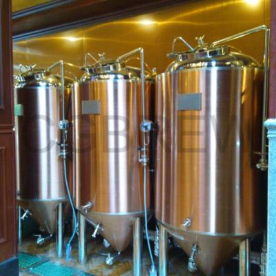 China 200L brewpub equipment for sale for small business on craft beer for sale