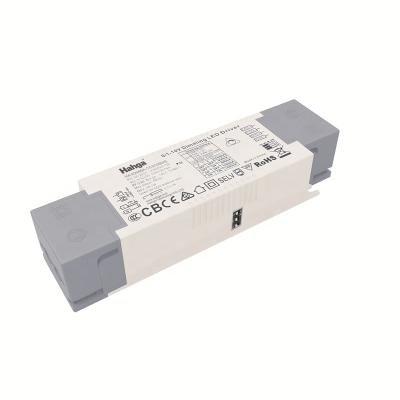 China High Quality Adjustable Panel Light 0/1-10V Dimmable LED Driver Constant Current 700Ma LED Power Supply for sale