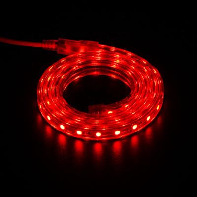 China LANDSCAPE 18ft 216L IP65 diameter 12.4mm outdoor rainproof clear acrylic tube led RGB programmable flexible rope light for sale