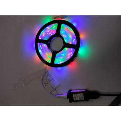 China Theme park led RGB programmable rope lighting wifi SMD5050 and remote control flexible outdoor rope led strip light for sale