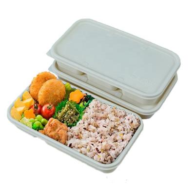 China Environmental Protection Large Capacity 750ml Biodegradable Disposable Food Container Rectangle Round Biodegradable Lunch Kids Meal Boxes for sale