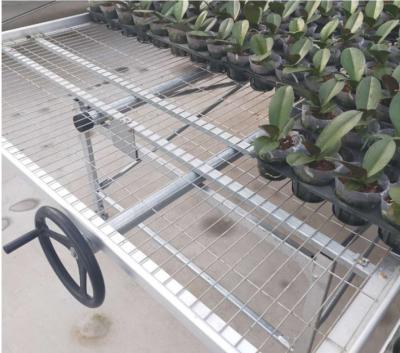 China Guided And Scientific Greenhouse Planting Seedling 4*8 Greenhouse Cultivation Flower Nursery Bed Ecological Tide Features for sale