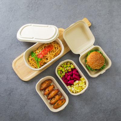 China Disposable Biodegradable Lunch Box Biodegradable Bagasse Sugar Cane Paper Bowl for sale