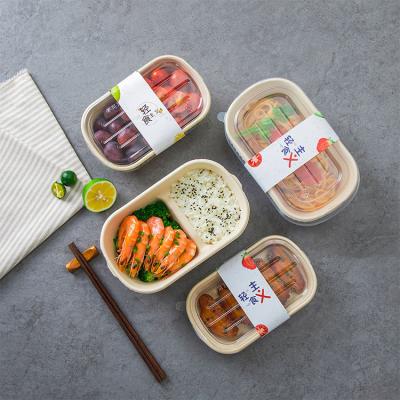 China Disposable Bagasse Paper Pulp Bento Container Lunch Box Disposable Lunch Box for sale