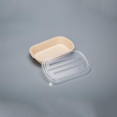 China Disposable Biodegradable Sugarcane Paper Bowl Food Bowl For Hot And Cold Food for sale