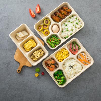 China Disposable Sugarcane Pulp Bagasse Takeaway Food Lunch Box Medium Box Pulp Box Packaging for sale