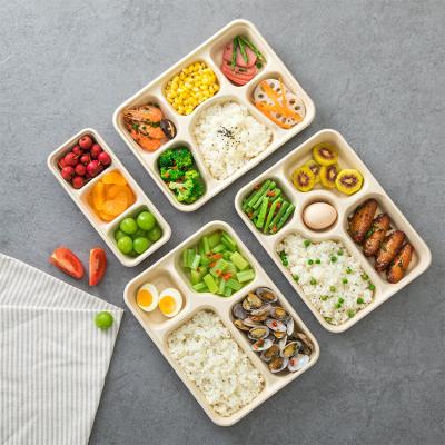 China Disposable Bento Boxes Bagasse Tableware Making Machine Biodegradable Salad Box for sale