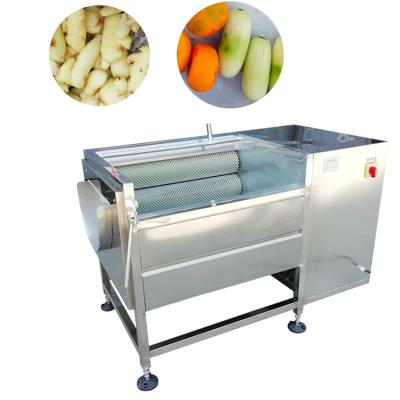 China Fruit processing plant factory supply fruit and vegetable washing machine Genger washing and peeling machine for sale