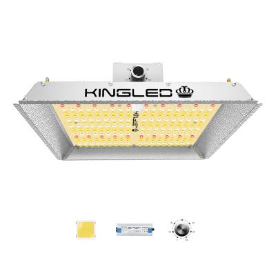 China Seed Starting KINGLED Grow Lights 1000W Full Spectrum Hydroponics Greenhouse Led Growing Light For Indoor Plant Dimmable Quantum Grow Light for sale