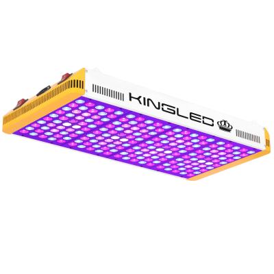 China FINEEST Horiculture Full Spectrum Led Grow Light Greenhouse 1000W 2000W 3000W Double Led Hydroponic Chips To Grow Light Full Spectrum For Indoor Plant Veg &Bloom for sale