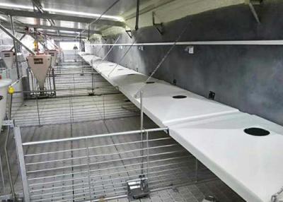 China FRP Heat Preservation Boxes /FRP Piglets Incubator for sale