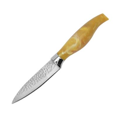 China Sustainable 3.5 Inch Stainless Steel Blade Fruit Paring Knife Kitchen With Comfortable Handle for sale