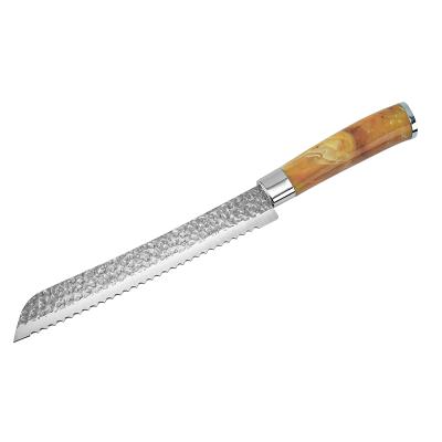 China Sustainable 8 Inch Serrated Bread Knife And Cake Slicer With Ergonomic Handle for sale